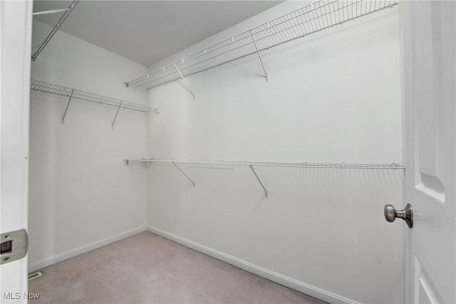 walk in closet with light carpet