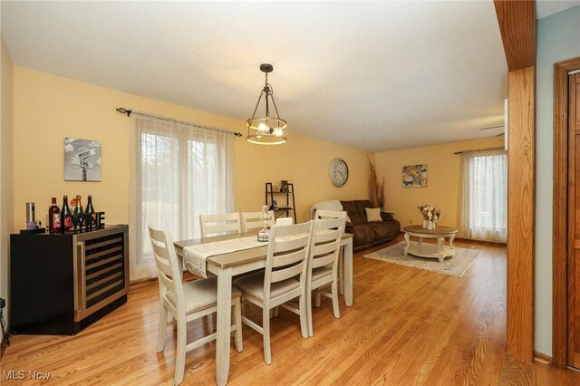 dining area featuring wine cooler and light hardwood / wood-style flooring