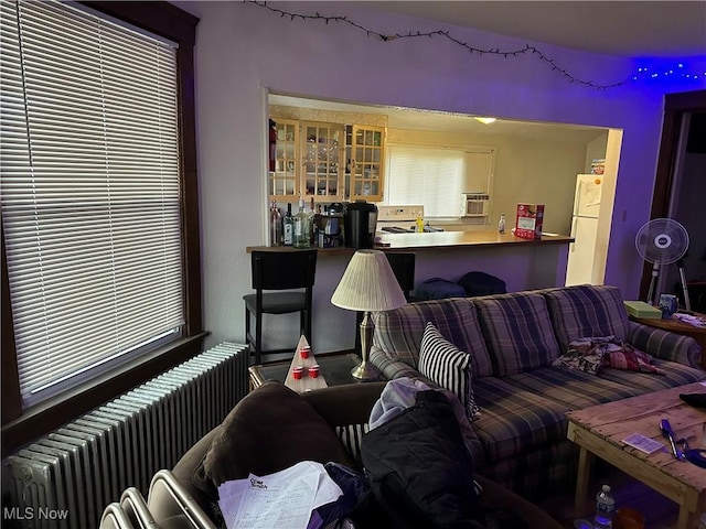 living room featuring radiator