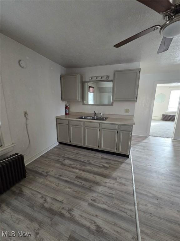 kitchen with wood-type flooring, sink, gray cabinetry, and radiator heating unit