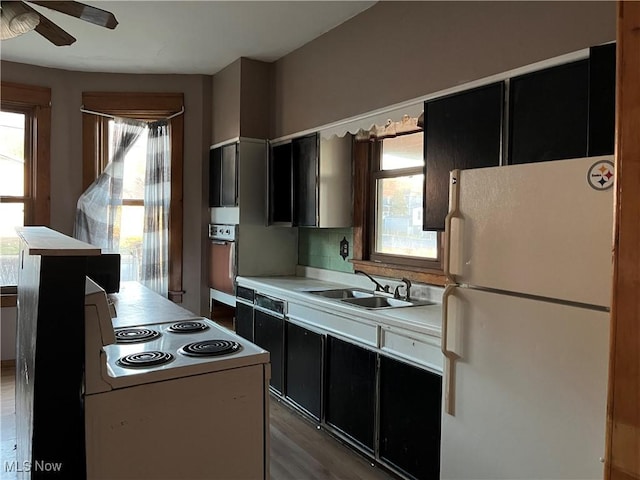 kitchen with sink, ceiling fan, white refrigerator, wood-type flooring, and oven