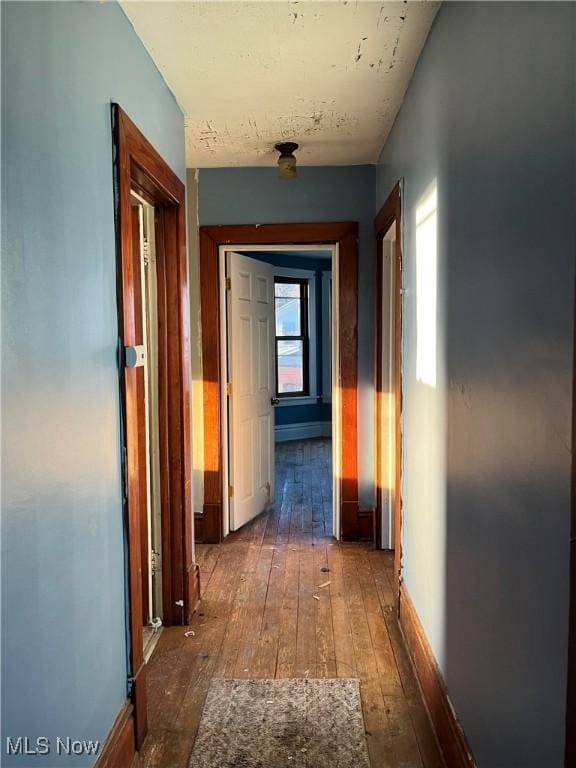 hall featuring dark wood-type flooring