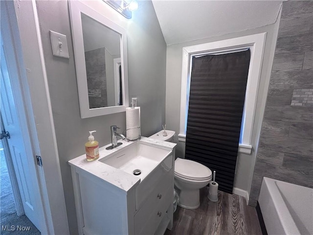 bathroom with vanity, toilet, and hardwood / wood-style floors