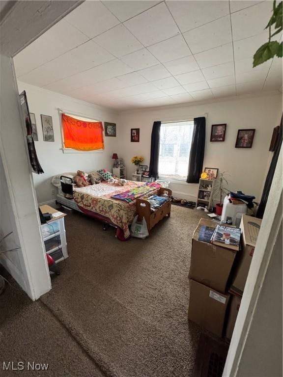 bedroom with carpet flooring