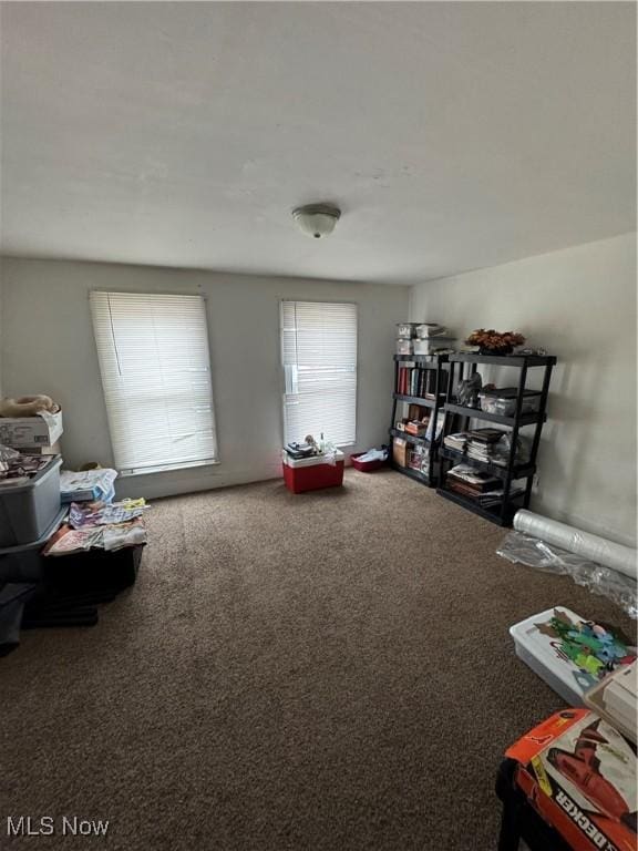 interior space featuring carpet floors