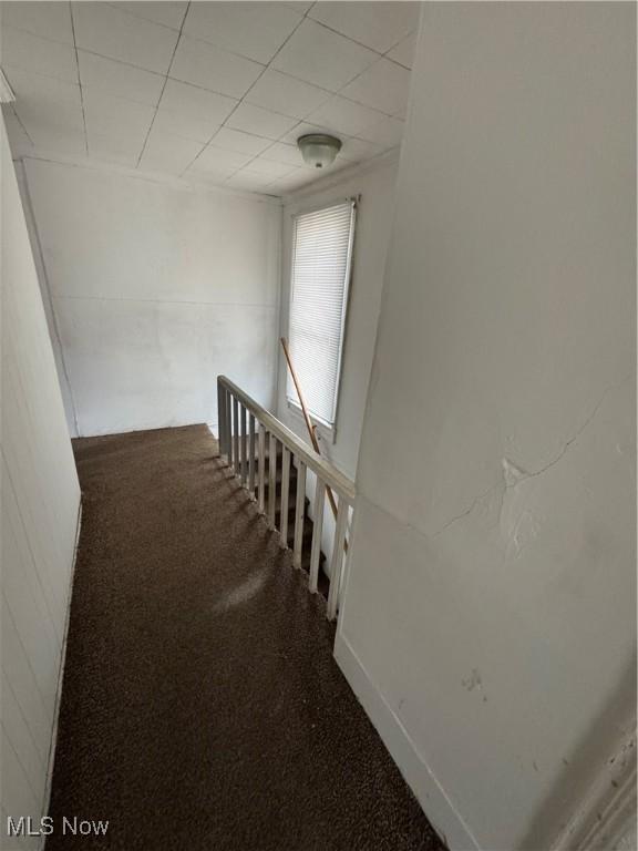 stairs with a drop ceiling and carpet floors