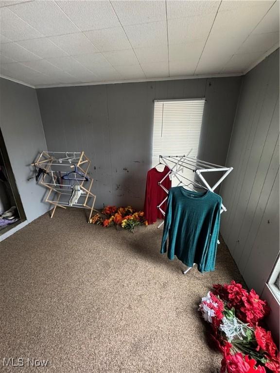 game room featuring carpet flooring and wooden walls