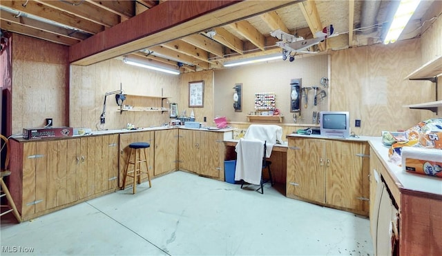 basement featuring a workshop area