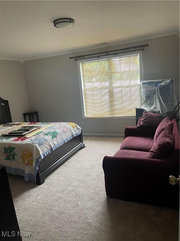 721 Winding Way, Akron, OH 44313 - carpeted bedroom with ornamental molding and baseboards