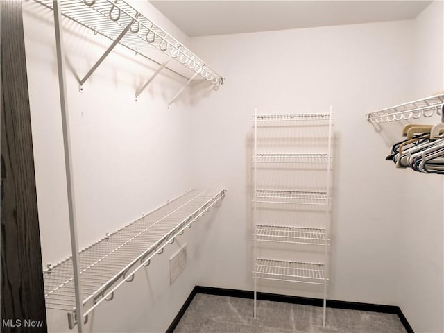 spacious closet featuring carpet