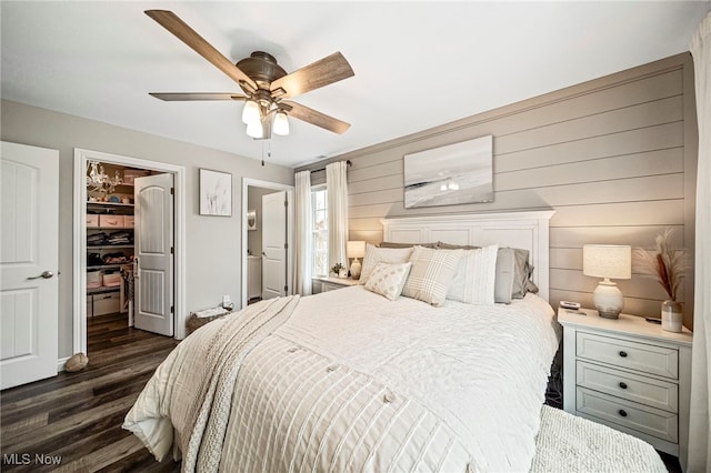 bedroom with ceiling fan, a walk in closet, dark hardwood / wood-style flooring, and a closet