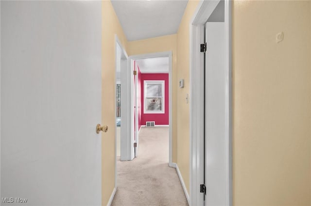 hallway with light carpet