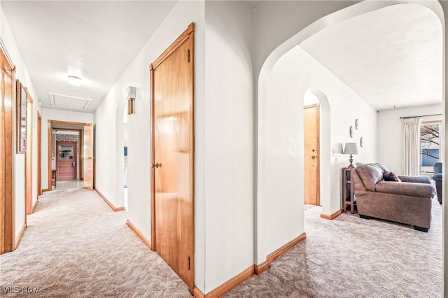 corridor featuring light colored carpet