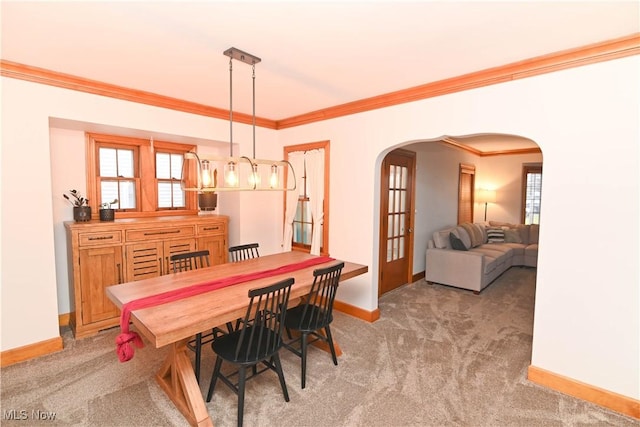 dining area with crown molding, carpet floors, and a healthy amount of sunlight