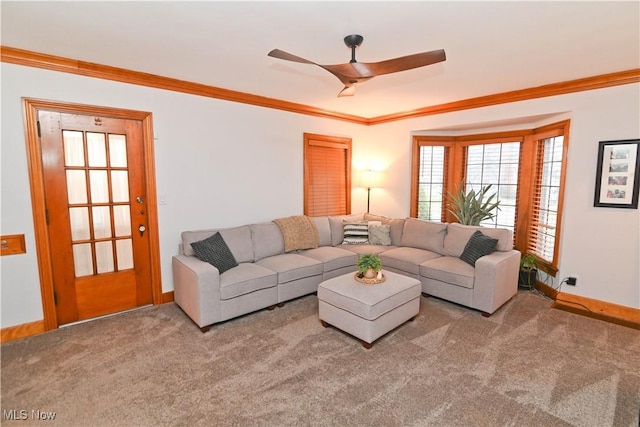 living room featuring ornamental molding, ceiling fan, and carpet