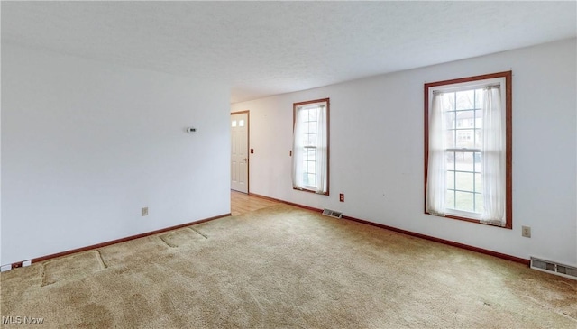 empty room featuring a wealth of natural light, light carpet, and a textured ceiling