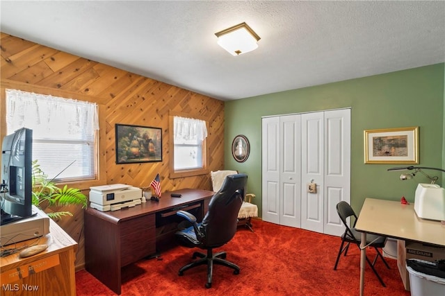 carpeted office space featuring plenty of natural light, a textured ceiling, and wood walls