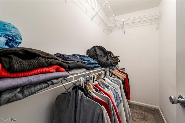 spacious closet with carpet floors