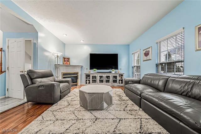 living room featuring dark hardwood / wood-style flooring and a textured ceiling