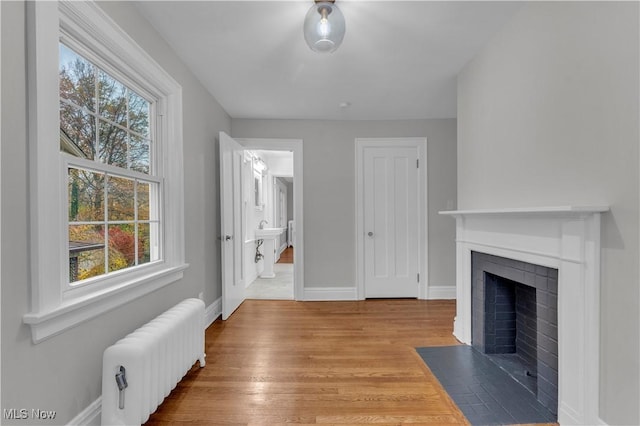 living room with radiator heating unit and wood-type flooring