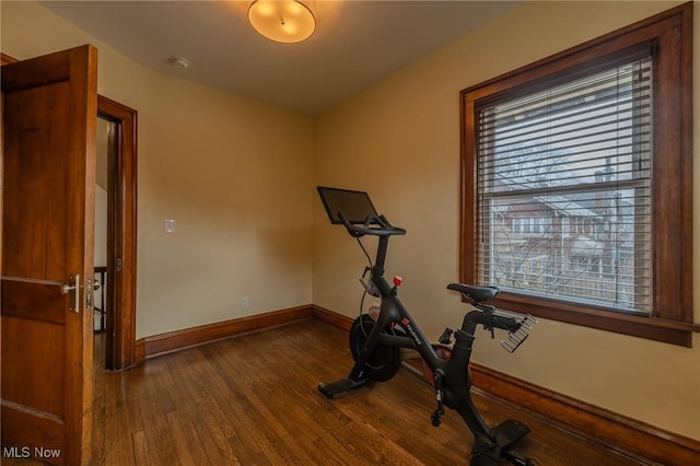 exercise room featuring dark hardwood / wood-style floors