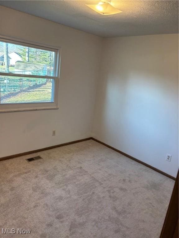 empty room featuring light colored carpet and a textured ceiling