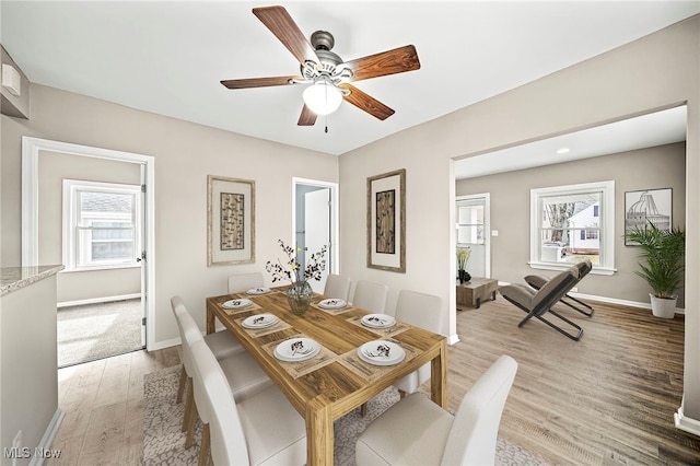 dining room featuring hardwood / wood-style floors, a healthy amount of sunlight, and ceiling fan