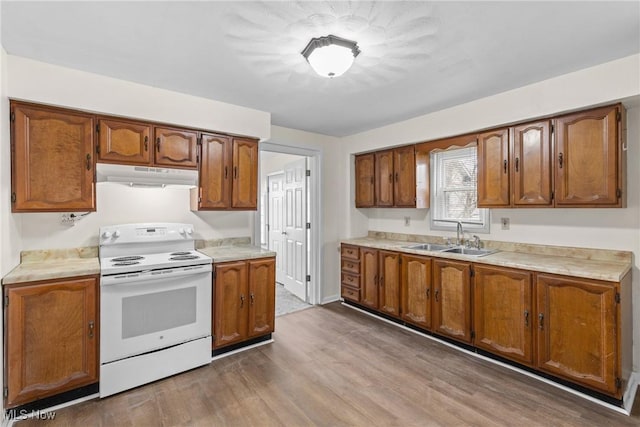 kitchen featuring light wood-type flooring, sink, and white range with electric stovetop