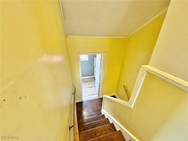 stairs with wood-type flooring and crown molding