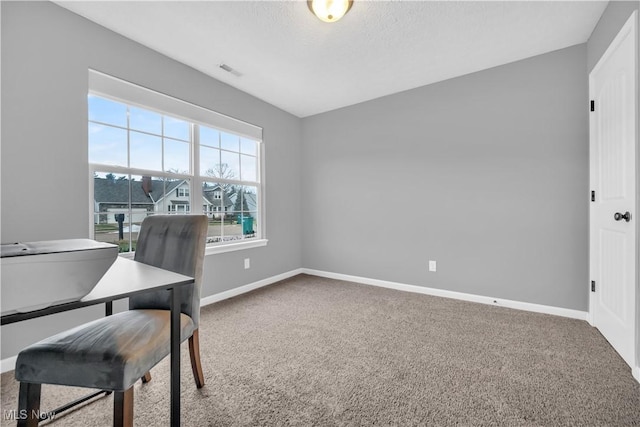 office space with carpet and a textured ceiling