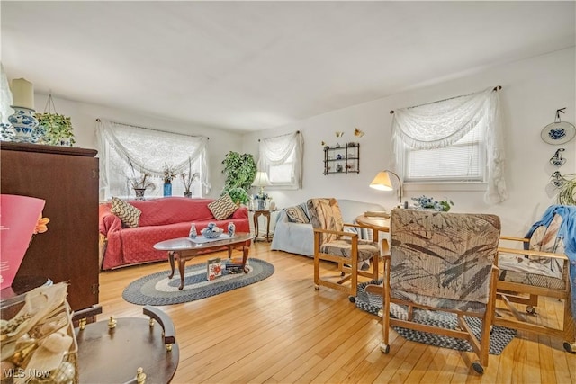 living room featuring light wood-type flooring