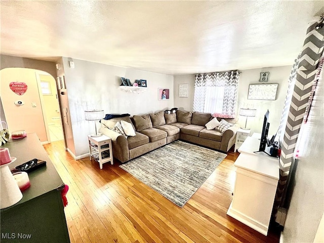 living room with hardwood / wood-style floors