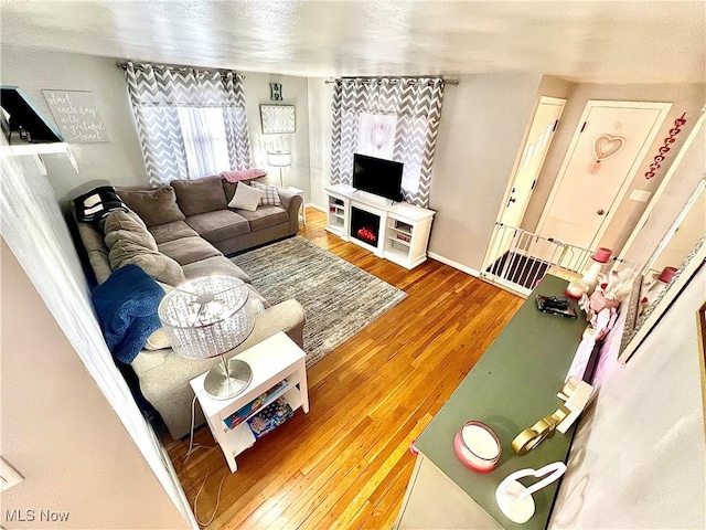 living room with wood-type flooring