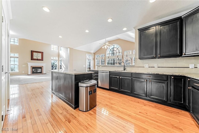 kitchen featuring plenty of natural light, dishwasher, and light wood-type flooring