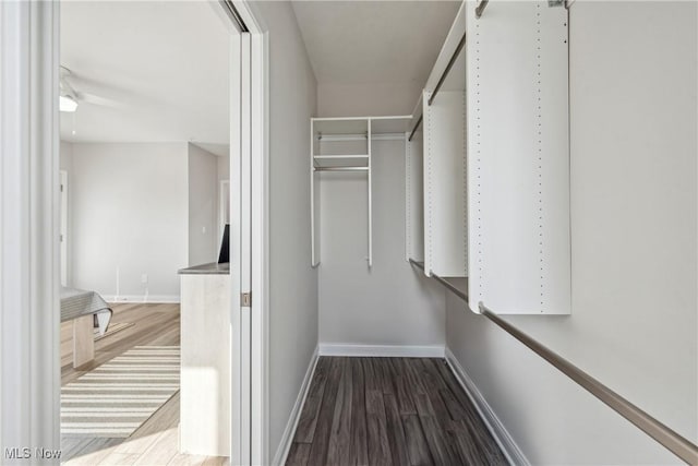 spacious closet with hardwood / wood-style floors