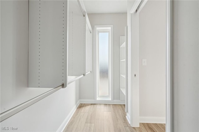 corridor featuring a healthy amount of sunlight and light hardwood / wood-style floors