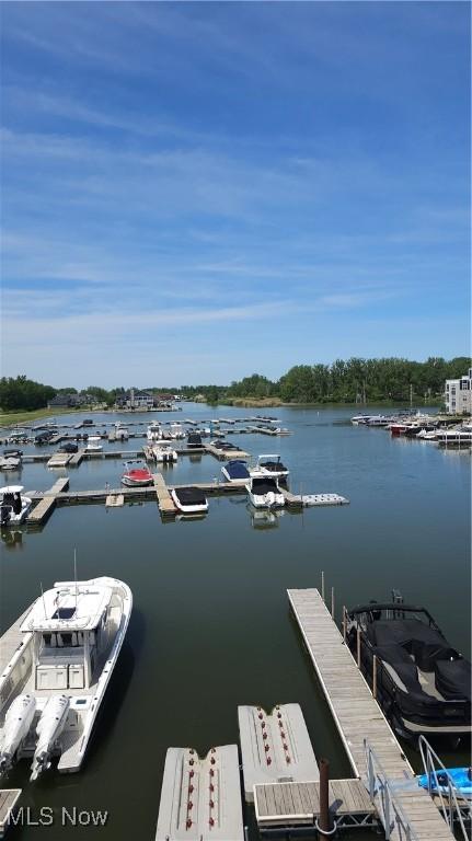 dock area featuring a water view