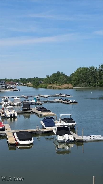 dock area with a water view