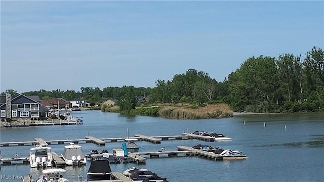 water view featuring a boat dock