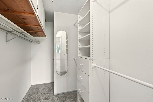 9040 Portage Pointe Dr, Streetsboro, OH 44241 - spacious closet featuring carpet floors