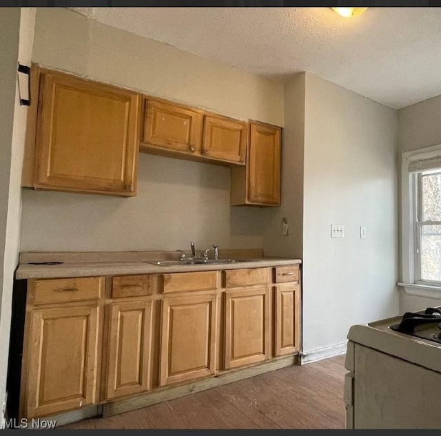 kitchen with wood-type flooring, sink, and a textured ceiling