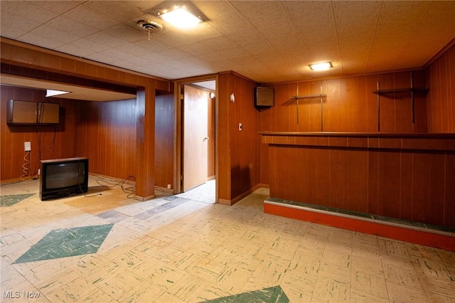 basement with wooden walls