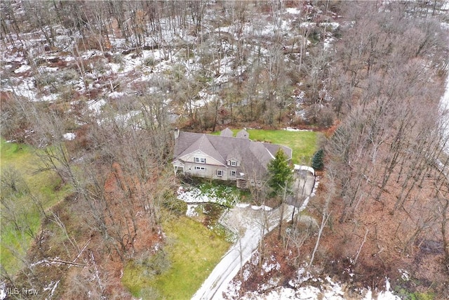 view of snowy aerial view