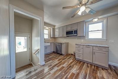 kitchen with dark wood-type flooring, ceiling fan, stainless steel appliances, and gray cabinetry