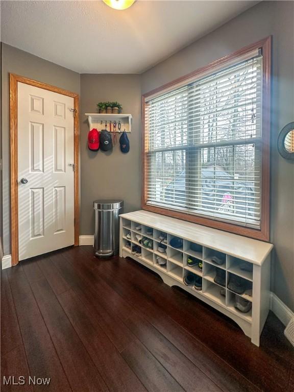 mudroom featuring baseboards and dark wood-type flooring