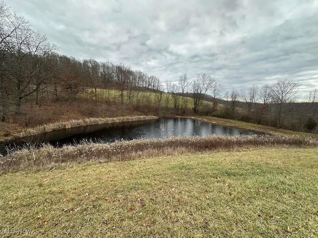 view of water feature