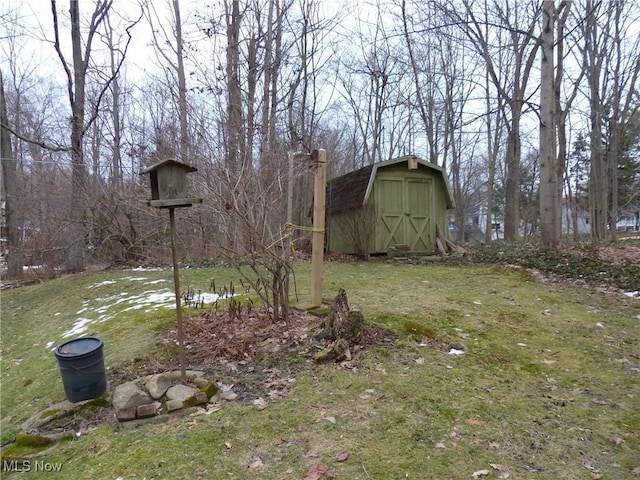 view of yard featuring a storage unit