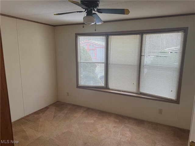 carpeted spare room featuring ceiling fan and ornamental molding