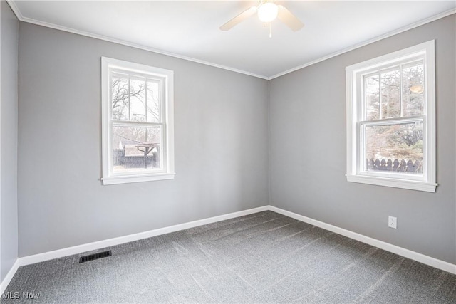 spare room with crown molding, carpet floors, and ceiling fan