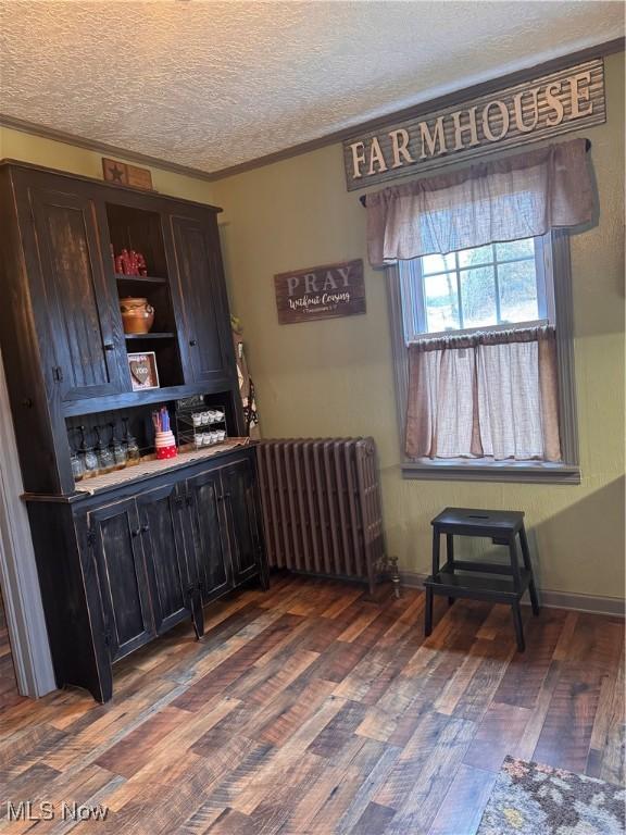 bar with radiator, dark wood-type flooring, ornamental molding, and a textured ceiling